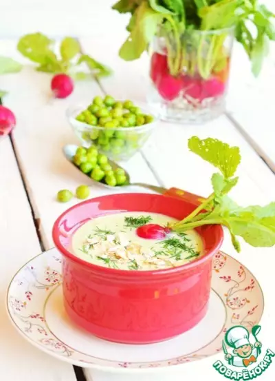 Холодный овсяный суп-пюре с овощами