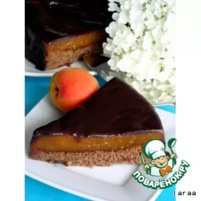 Шоколадный торт с абрикосовой прослойкой