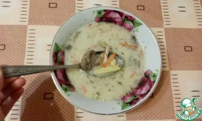 Сырный суп с овсянкой и грибами
