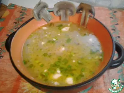 Грибной суп-крем с плавленным сыром