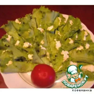Сырная закуска на листьях салата