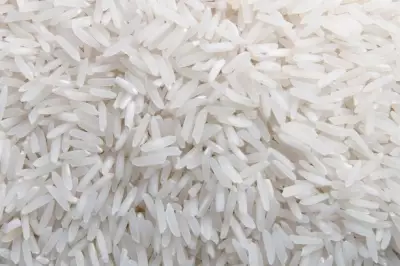 Чавал белый рис