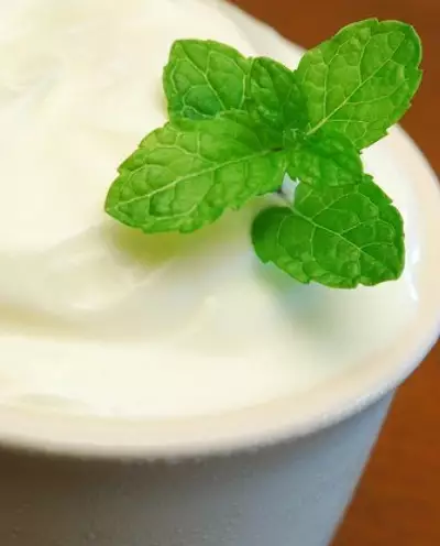 Йогуртово-мятный соус к шашлыкам