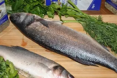 Рыба, запеченная в соли, по‑хорватски
