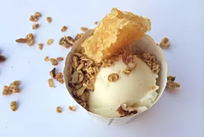 Замороженный йогурт с ванилью и медом