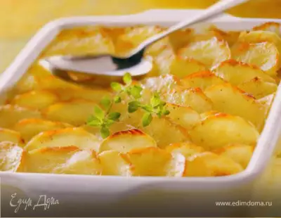Картофель для большой семьи gratin dauphinois