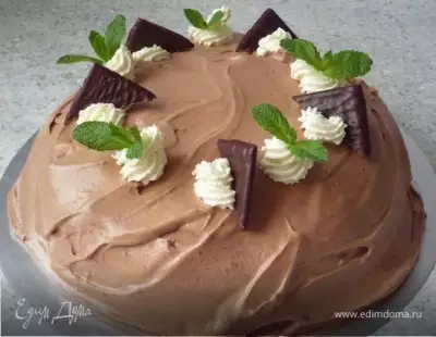 Лакомый шоколадно мятный торт