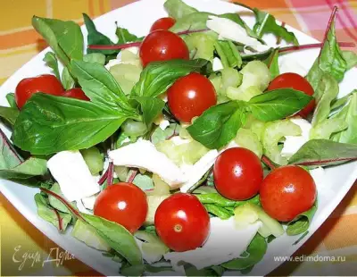 Овощной салат с базиликом и моцареллой.