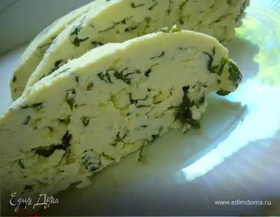 Сыр с зеленью home made