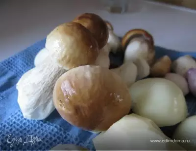 "Porcino" - осенний суп из белых грибов