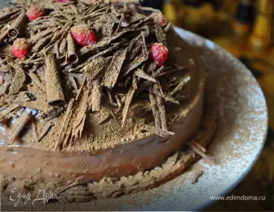 Тыквенно шоколадный торт купол с малиновым желе