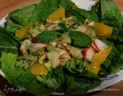 Салат с авокадо, орехами и редисом фото
