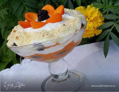 Десерт с абрикосами и ежевикой "По мотивам тирамису" фото