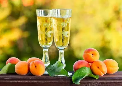 Изумительное вино из абрикосов в домашних условиях: лучший рецепт