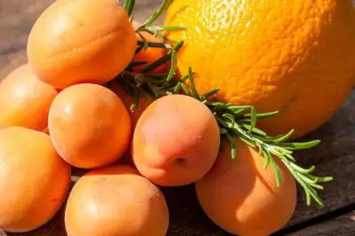 Абрикосовое варенье с апельсином: рецепт обалденного лакомства с цитрусовым ароматом