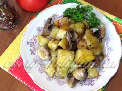 Тушеная картошка с грибами в сметане