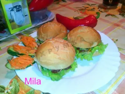 Бутерброды на природу гамбургер быстрого приготовления