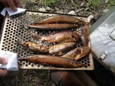 Домашняя рыбка горячего копчения