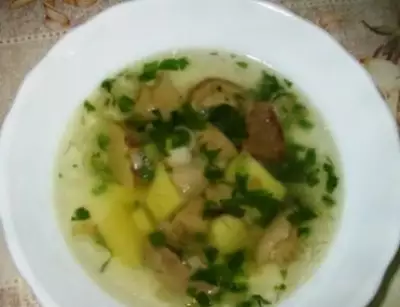 Суп из свежих белых грибов с картошкой и зеленым луком