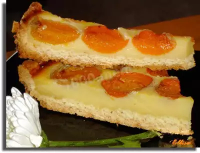 Абрикосовый пирог из абрикосов открытый
