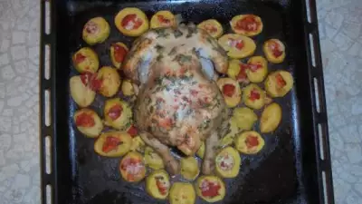 Курица, запечённая с овощами