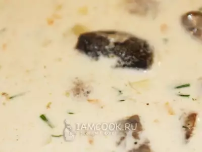 Сливочно сырный суп с грибами белыми подберезовиками подосиновиками