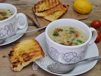Грибной суп пюре из шампиньонов и вешенок
