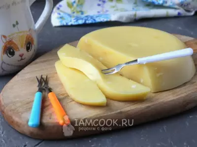 Сыр из козьего творога в домашних условиях