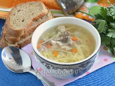 Суп из утки с лапшой