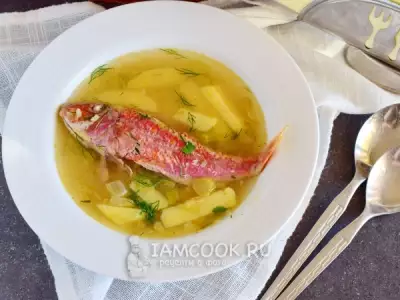 Рыбный суп из барабульки
