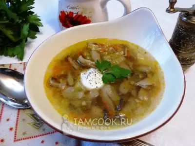 Суп из соленых грибов