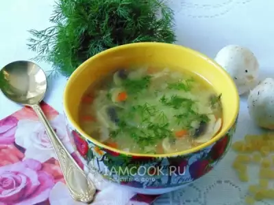 Суп с индейкой, грибами и макаронами