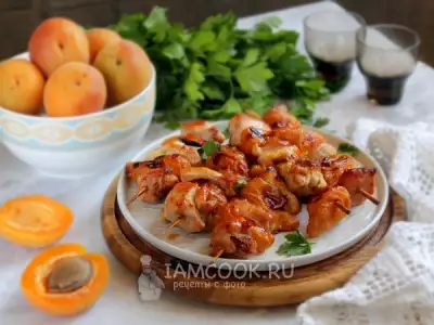 Шашлычки из курицы с абрикосами в духовке