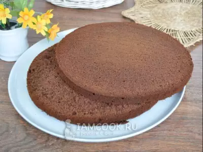 Нежный шоколадный бисквит для тортов