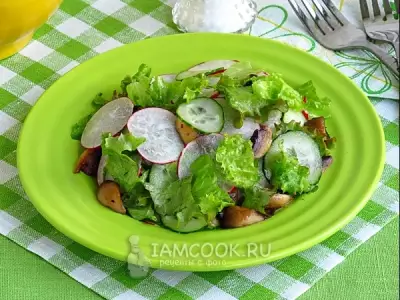 Овощной салат с редисом и грибами