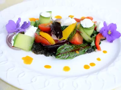 Греческий салат в новом стиле с молодой зеленью