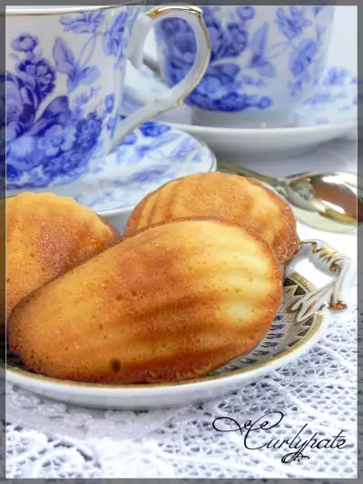 "мадлен". "madeleines".