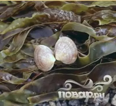 Квас из морской капусты