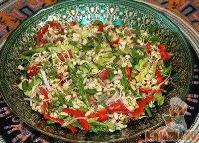 Салат с проростками маш , красным луком , спаржей и сладким перцем