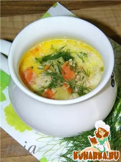 Сырный суп с фаршем и пореем (Hackfleisch-Lauch-Kaese-Suppe)