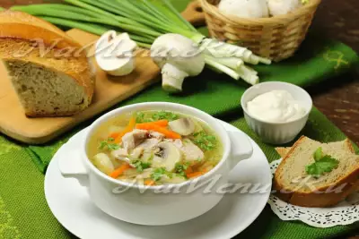 Картофельный суп с мясом и грибами