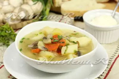 Густой суп с мясом и грибами