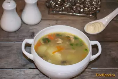 Куриный суп с овсянкой и грибами рецепт с фото