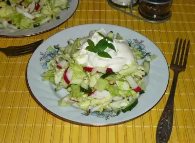 Капустный салат с редиской и огурцом рецепт с фото
