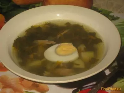 Куриный суп с щавелем рецепт с фото