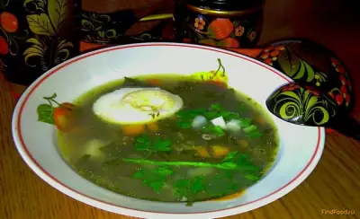Суп с щавелем и яйцом рецепт с фото