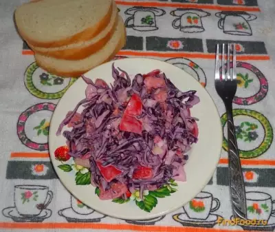 Салат из помидоров и краснокочанной капусты рецепт с фото