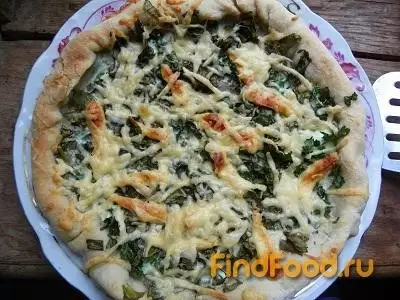 Пирог со щавелем петрушкой и зеленым луком рецепт с фото