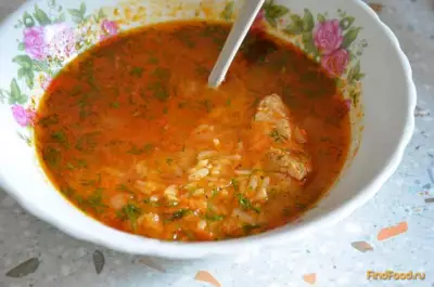 Куриный суп харчо  рецепт с фото
