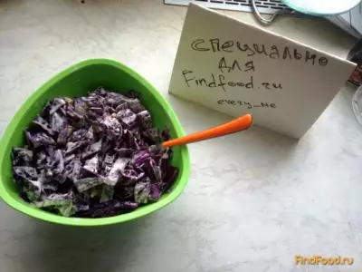 Быстрый салат из красной капусты рецепт с фото